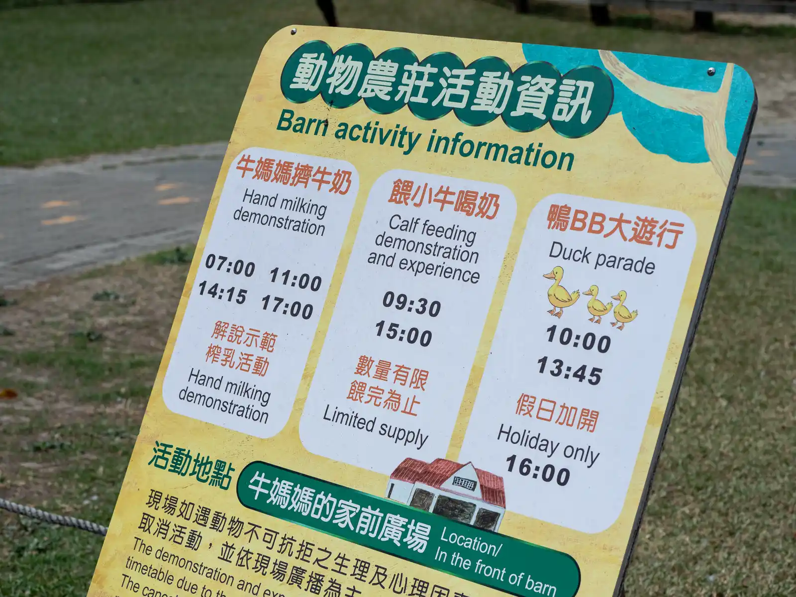 Activity information is displayed in English.