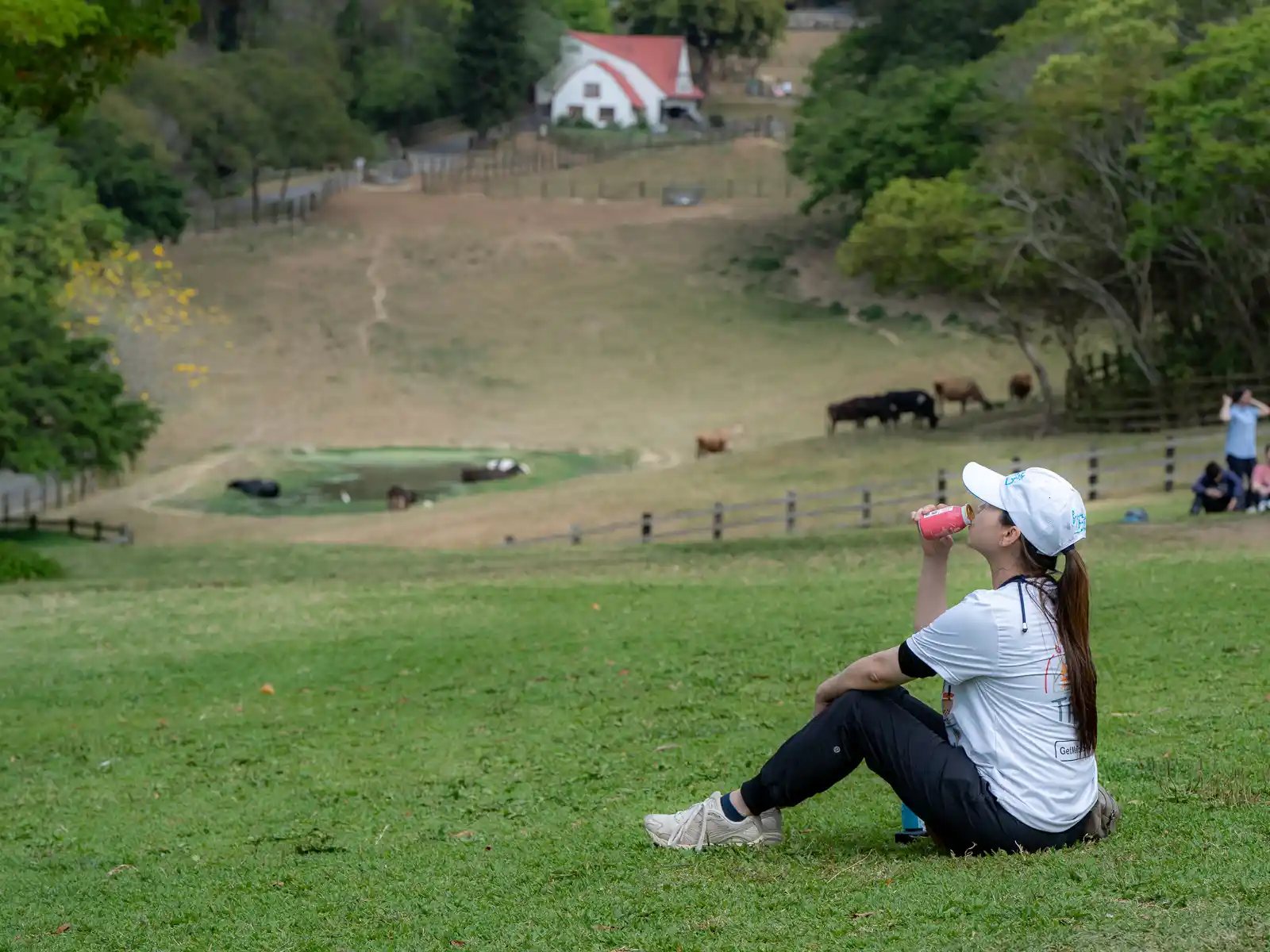 A tourist sits on a grassy field and sips on a farm-fresh yogurt.
