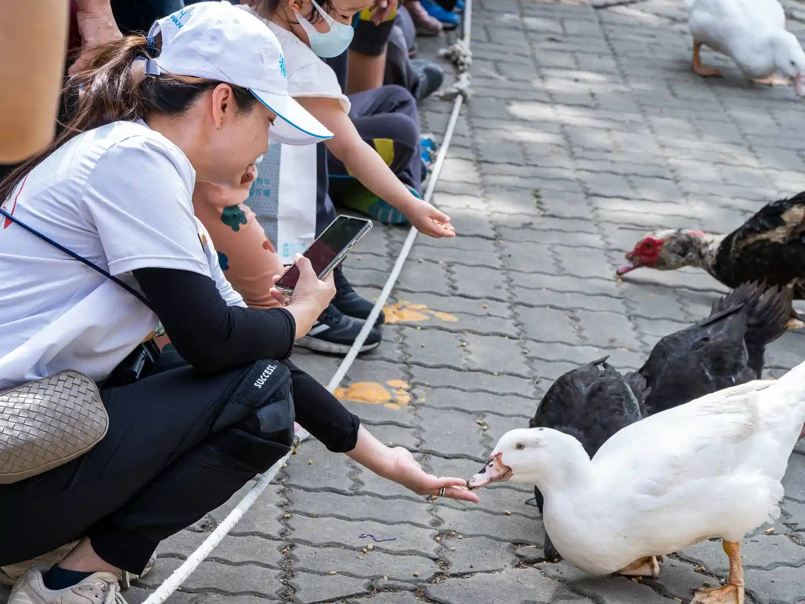 A tourist feeds a duck from her hand.