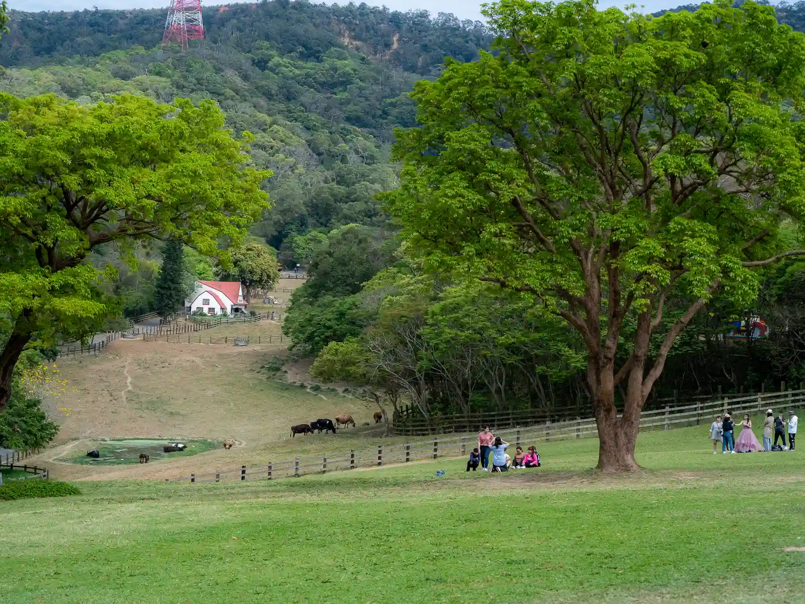 A grassy lawn extends across rolling hills, a shed and fences can be seen in the distance.
