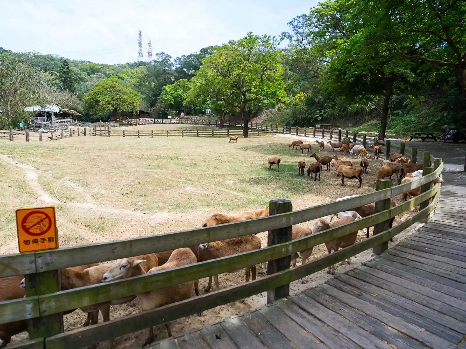 A fenced off grazing area for sheep.