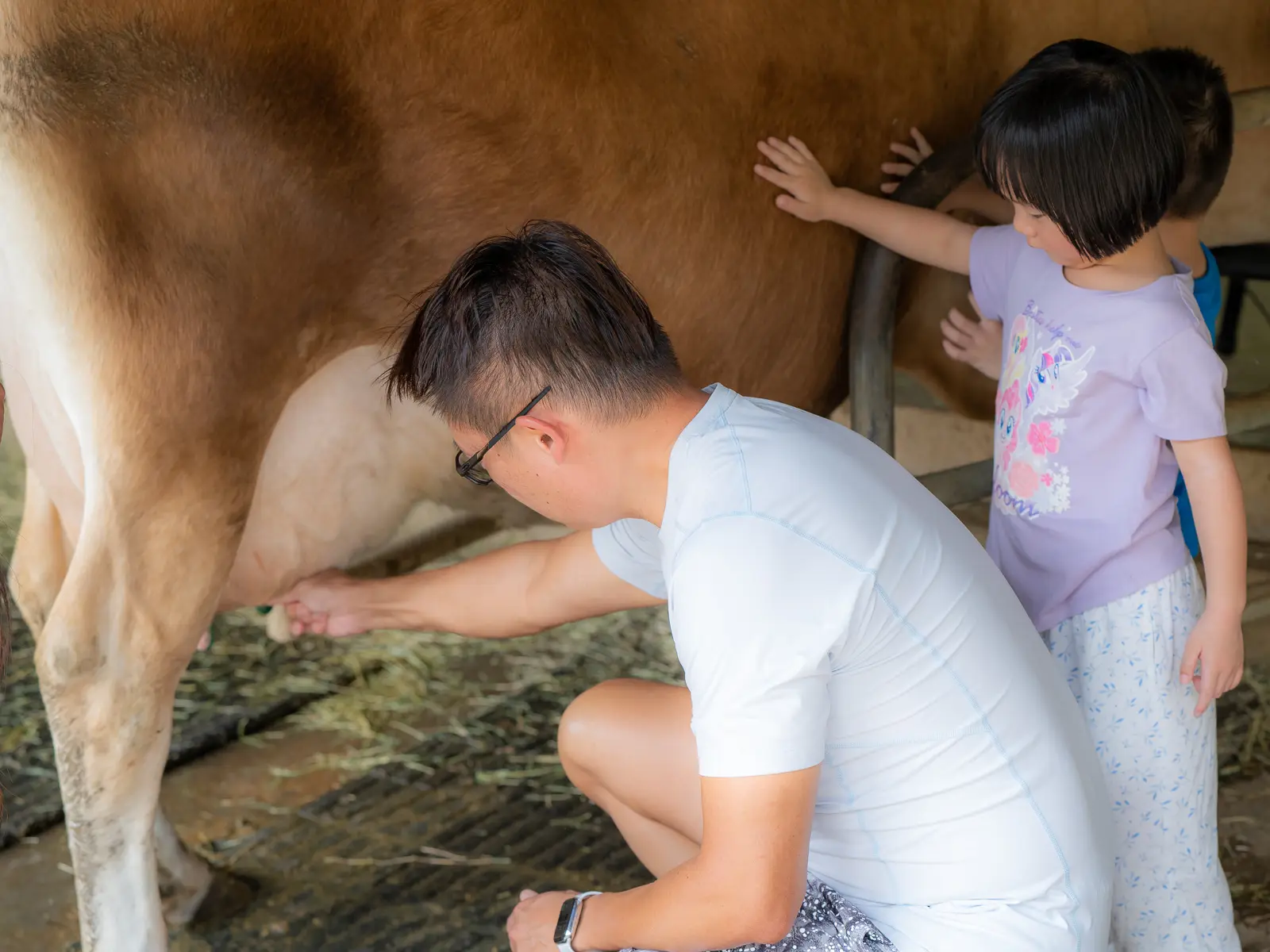 A father milks a cow while two young children pet it.
