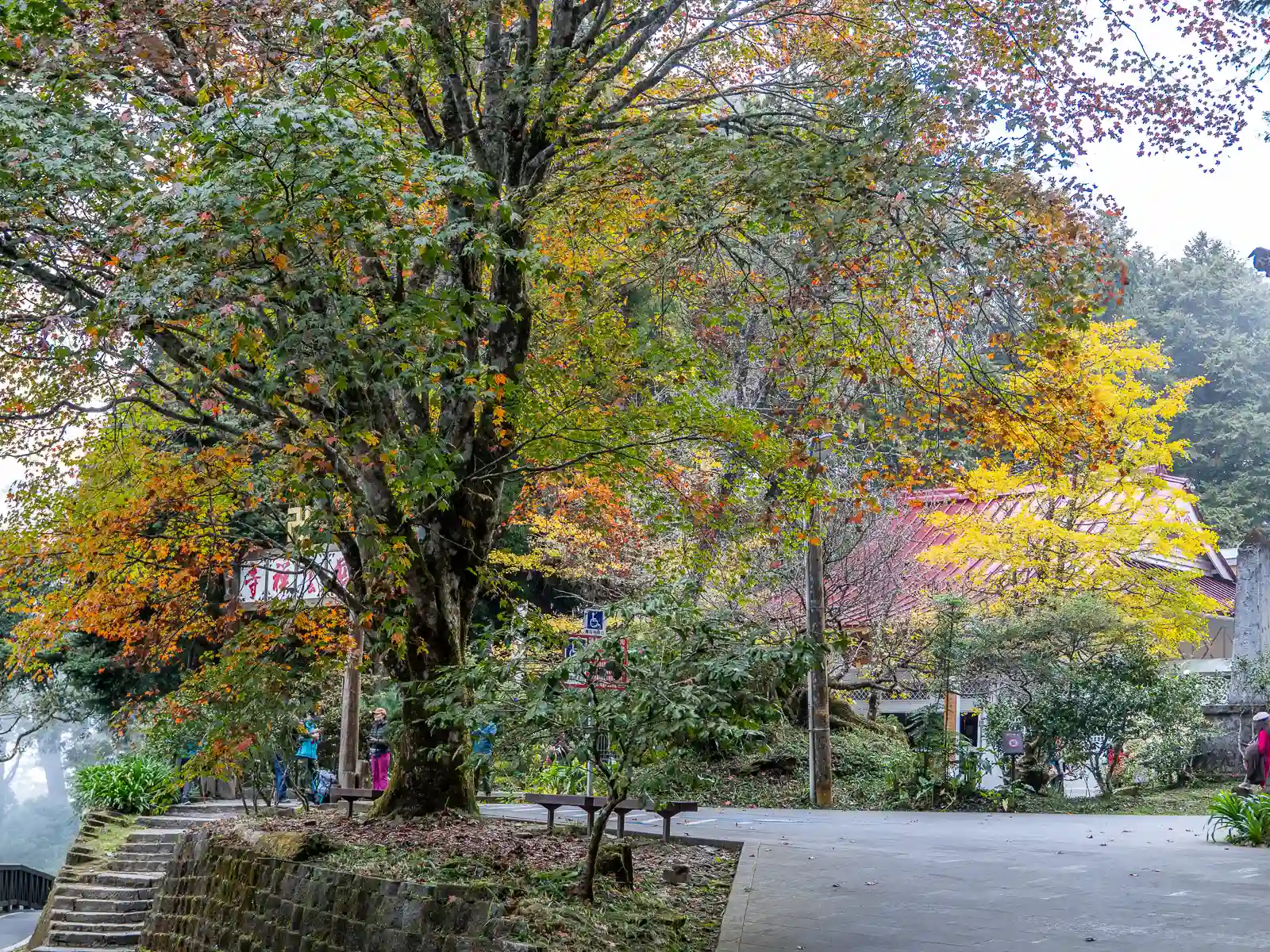 Colorful leaves are visible on maple trees in autumn.