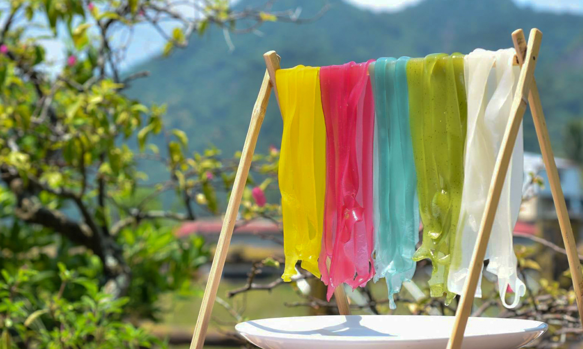 Meinong's Rainbow Flat Rice Noodles