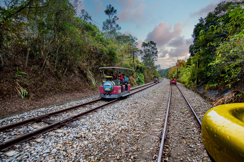 The Old Mountain Line Rail Bike takes travelers through Taiwan's jungle at the gentle speed of a bicycle, offering many opportunities to take in the sights.