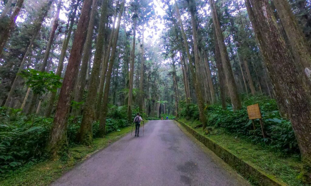 One of many accessible hiking trails in Xitou Nature Education Area.