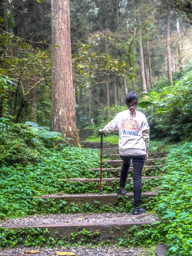 Hiking through Xitou Nature Education Area's well maintained trails.