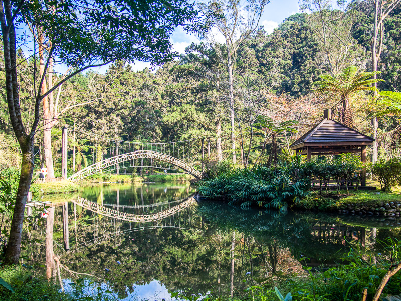 University Pond is surrounded by pristine nature.