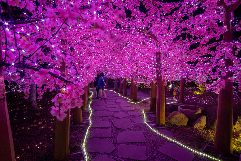 Taking a walk at night during the lantern festival.