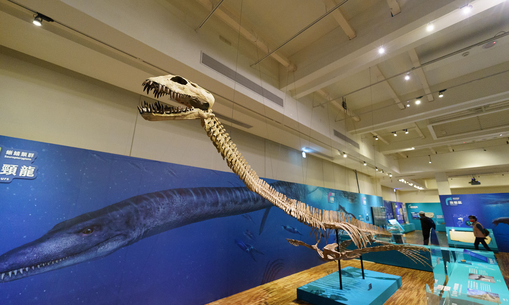National Taiwan Museum exhibitions cover Taiwan's prehistory, including dinasours.