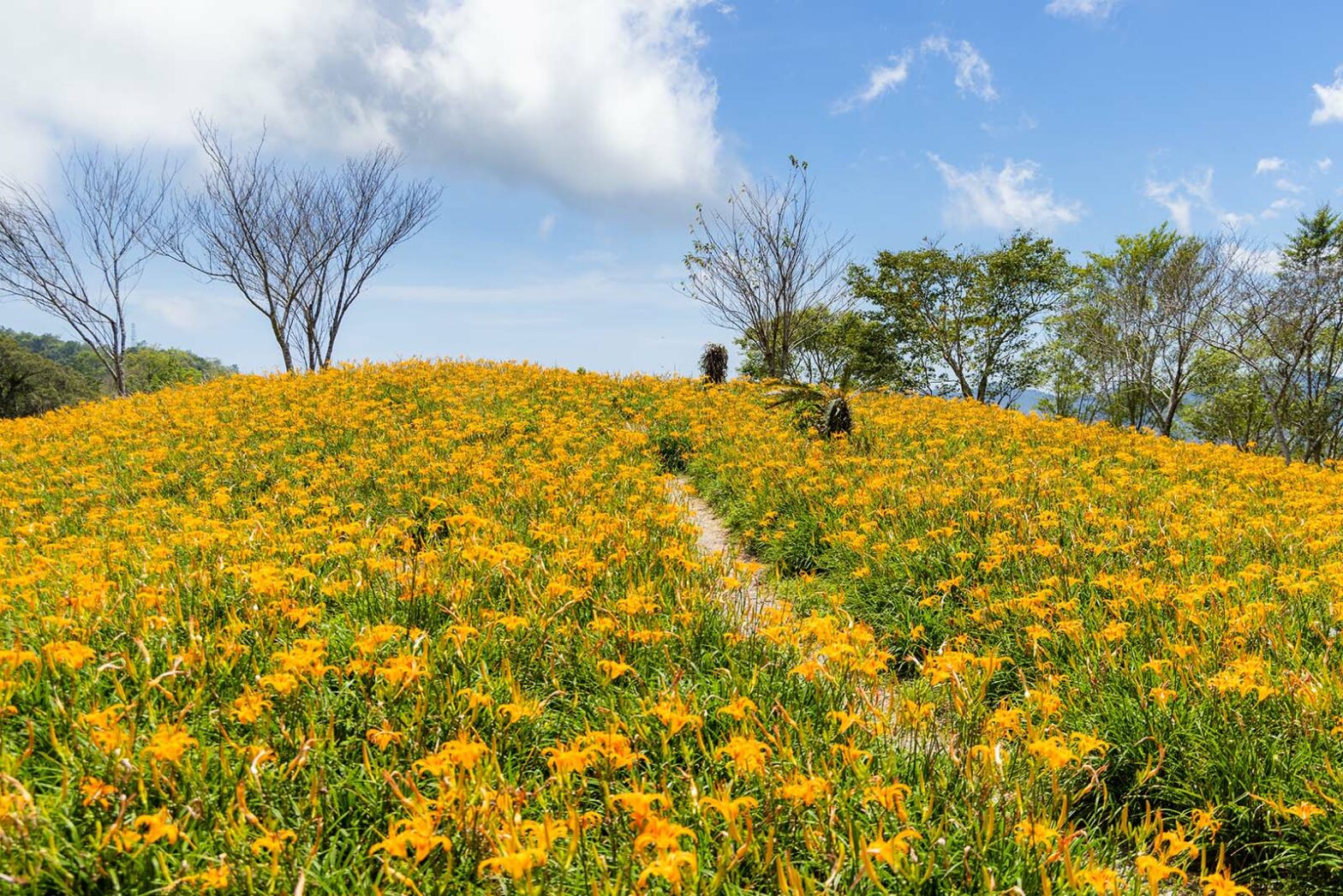 Taim Ali 9 Relaxing Destinations In Taitung For Seniors - Get Me To Taiwan