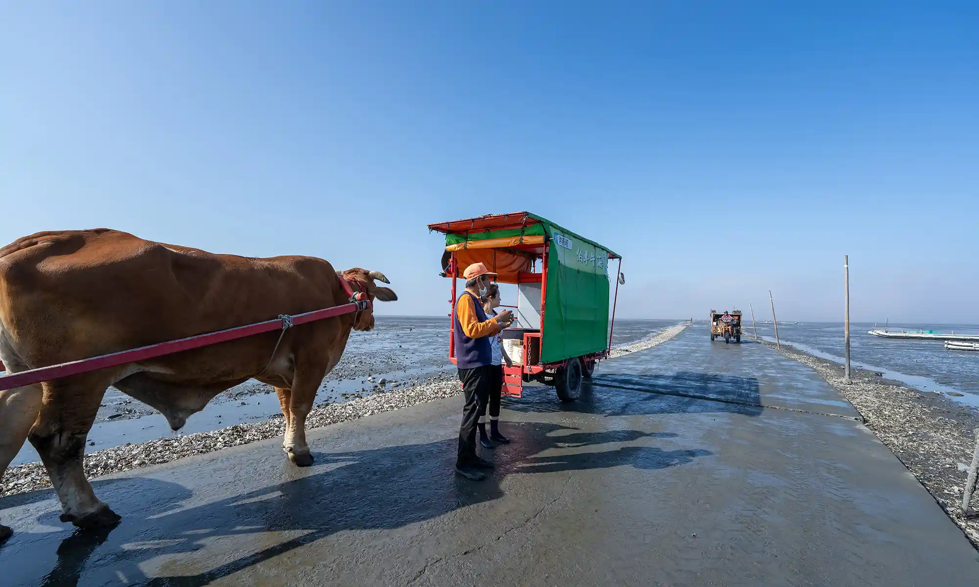 Oyster's farmers and their carts are stopped on the side of the road to the tidal flats west of Fangyuan.