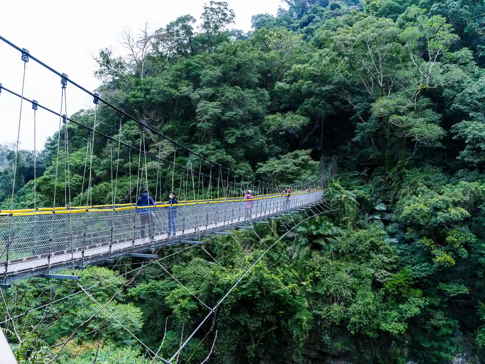 A suspension bridge crosses a valley surrounded by jungle.