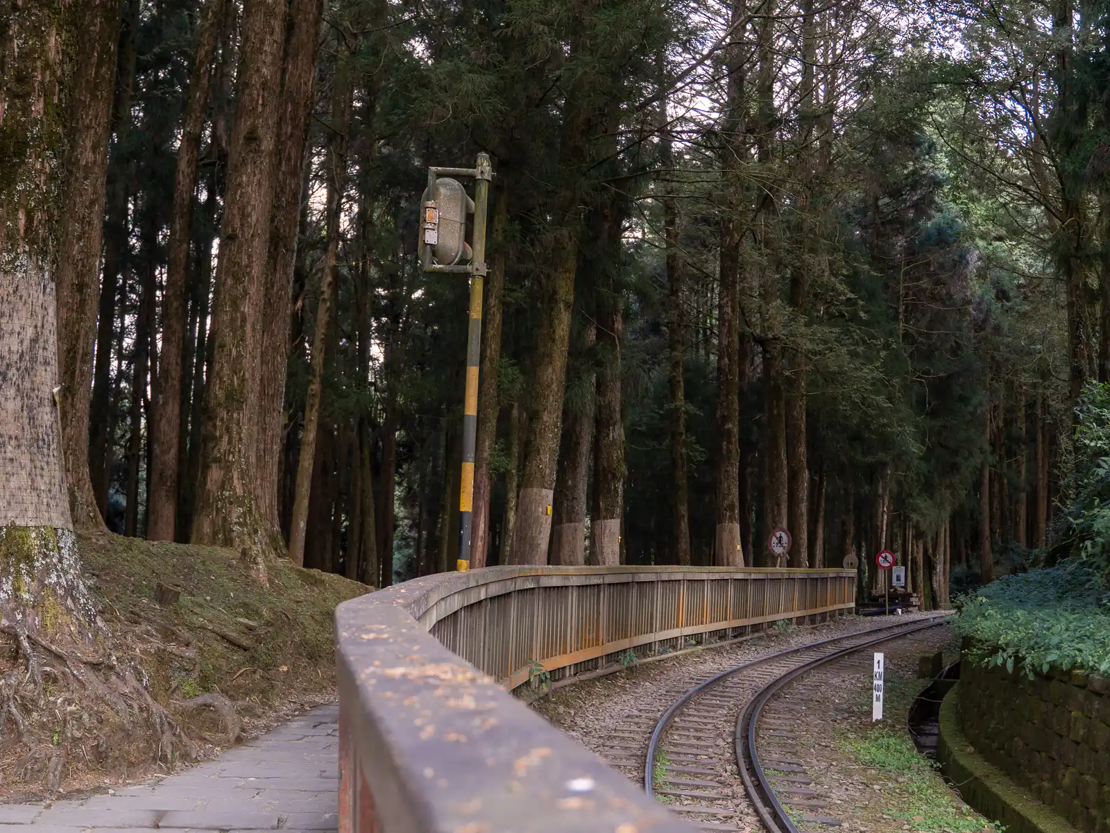 A section of railway track cuts through dense forest, running along a walking path.