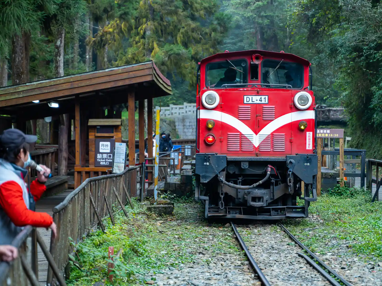 A train approaches one of the platforms along the Alishan Forest Railway.