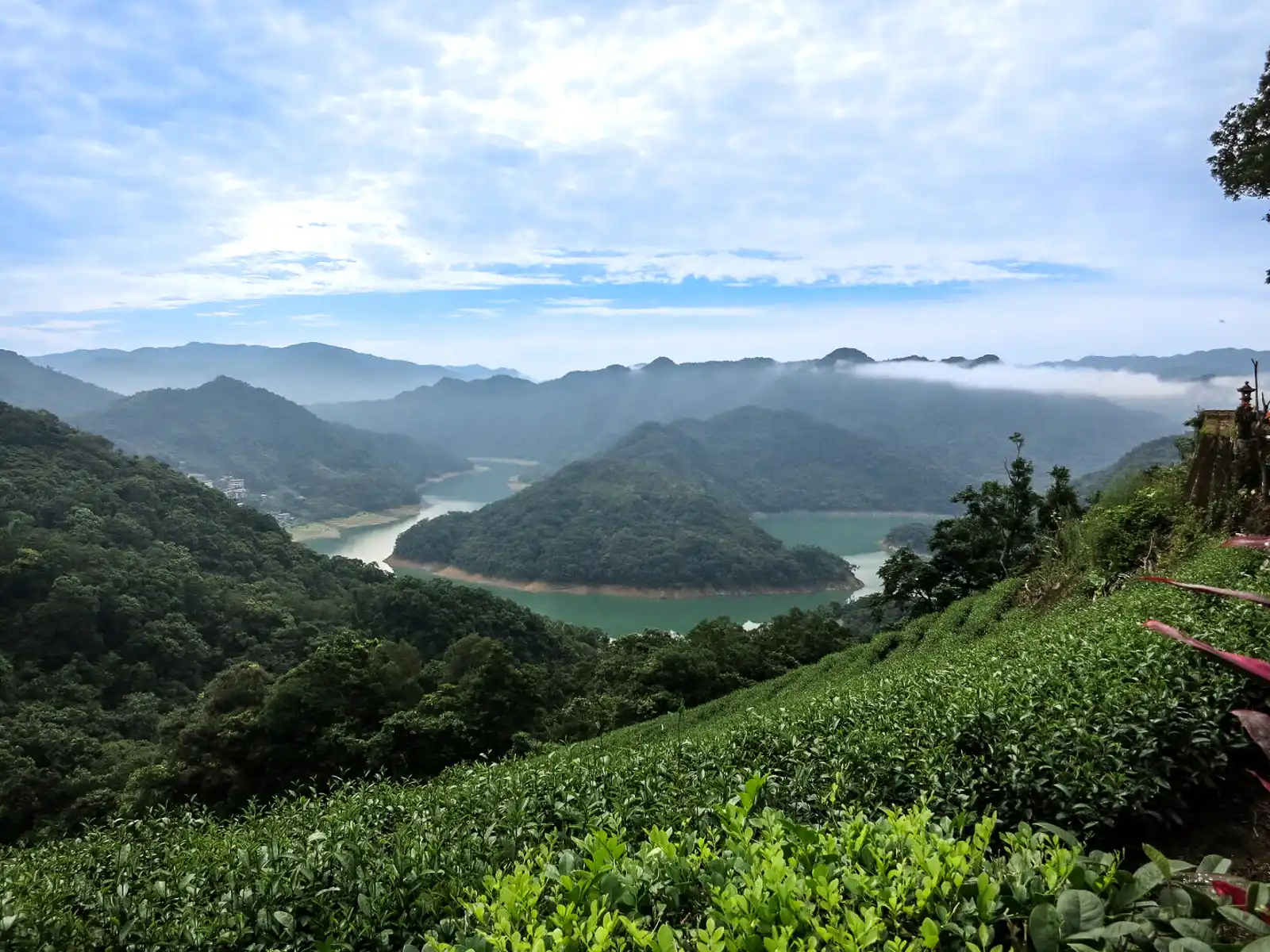 A view of Thousand Island Lake from atop a tea plantation.
