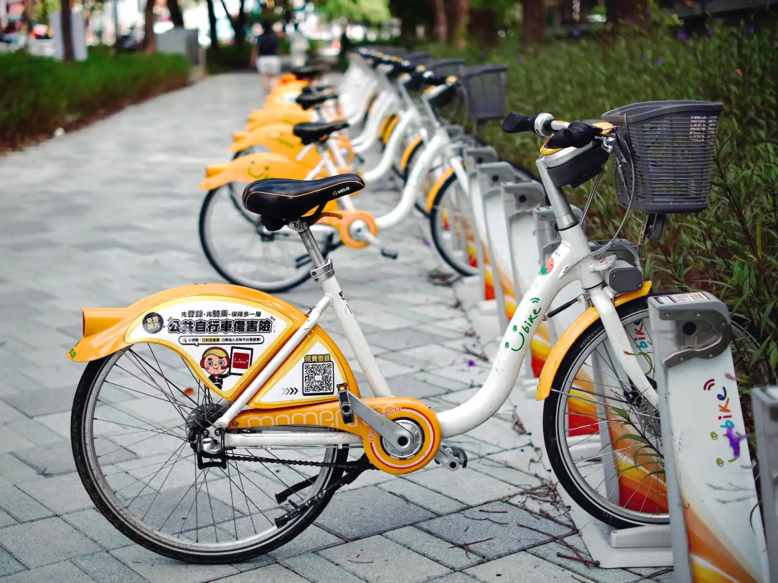 A row of parked shared bikes charging at their stations on the sidewalk.